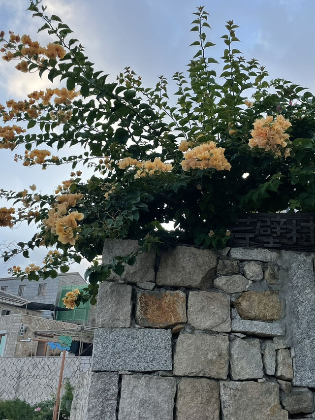馬祖北竿｜芹壁家適民宿早餐：海風、石屋與在地滋味的清晨時光