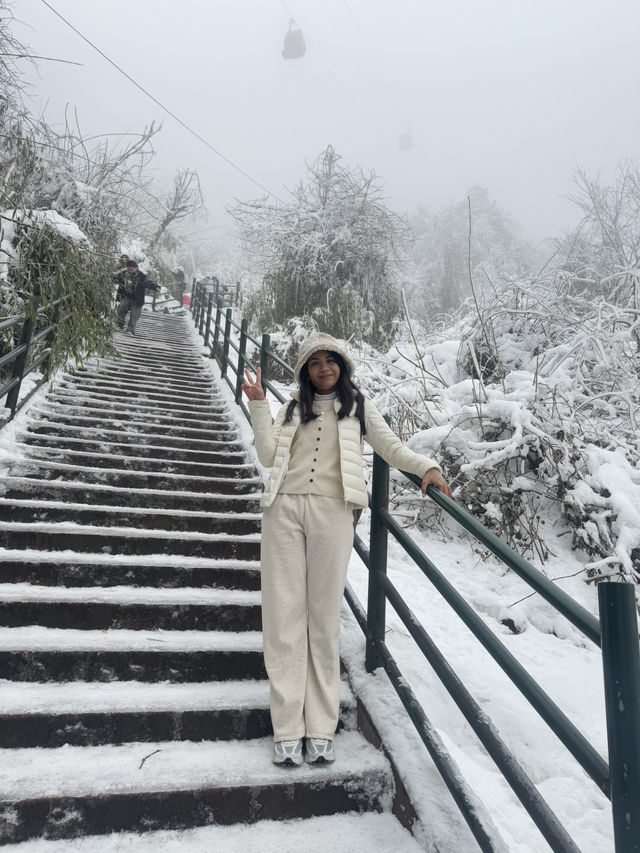 One Day Trip Chengdu to Wawu Shan 