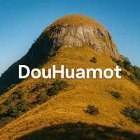 DoiHueMot