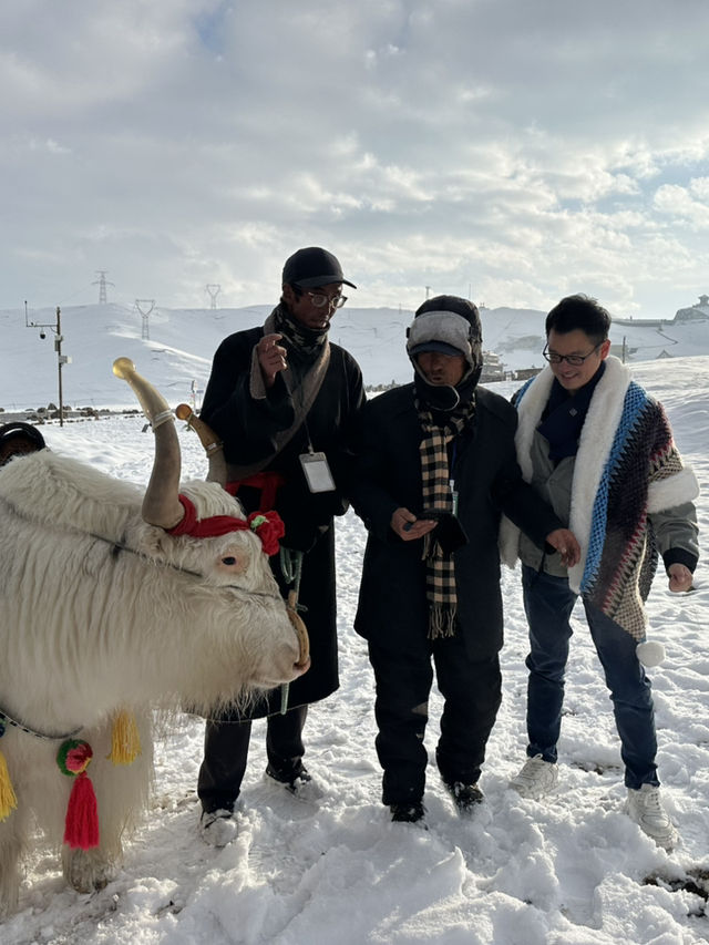 你有沒有騎過氂牛