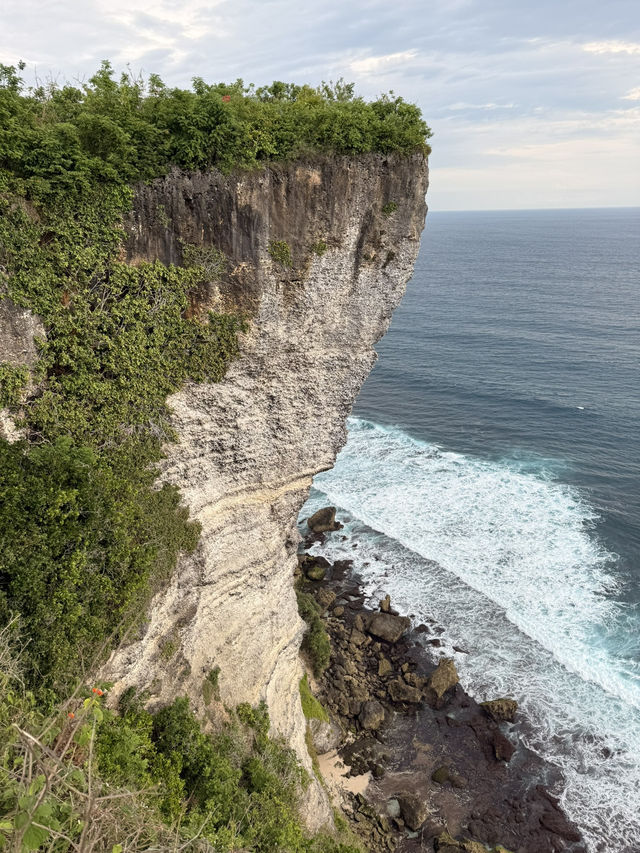 Lush Bali Escapes🌿
