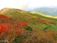 【山形県】出羽三山の霊峰！東北屈指の紅葉名所「月山」