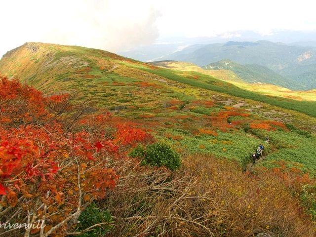 【山形県】出羽三山の霊峰！東北屈指の紅葉名所「月山」