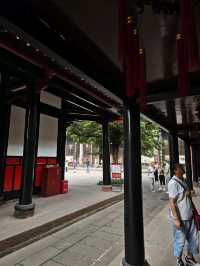 Temple Calm Chengdu🌿
