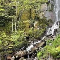 Cascade du Nideck – A Fairy-Tale Waterfall in the Vosges Mountains