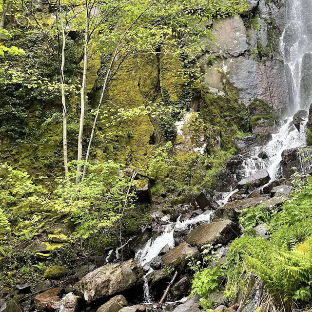 Cascade du Nideck – A Fairy-Tale Waterfall in the Vosges Mountains