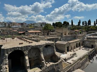 A Walk Through the Echoes of Ancient Life
