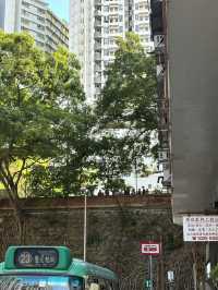 Basketball Courts, Kennedy Town Playground