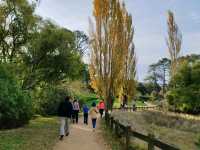 The Idyllic Scenery of Hobbiton