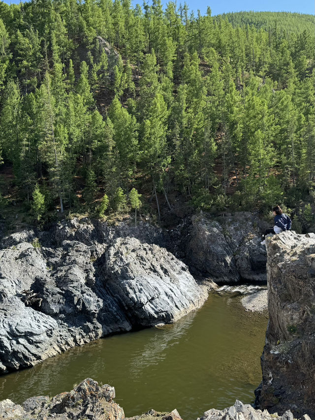 Bayanzurkh, Khuwsgul, Mongolia 🌳