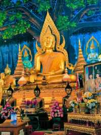 🎋สักการะ วัดพระธาตุช่อแฮ