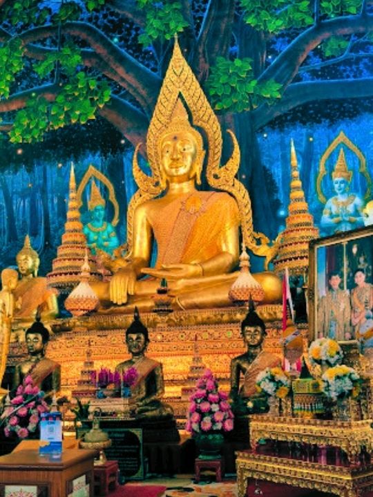 🎋สักการะ วัดพระธาตุช่อแฮ