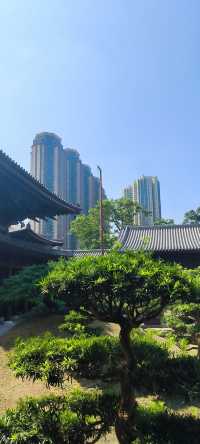 Chi Lin Nunnery, Hong Kong