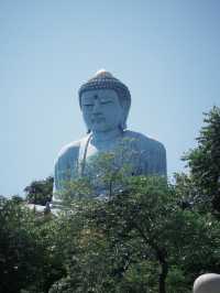 องค์พระใหญ่ไดบุตสึ: ไฮไลท์ที่ไม่ควรพลาด