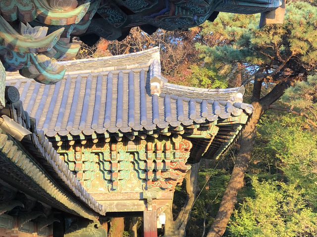🕊️ 경주, 불국사와 석굴암에서 만난 신비로운 역사