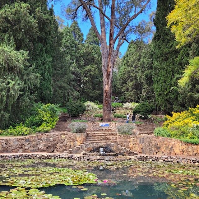 Blooming Beauty: A Day at Araluen Botanic Park, Perth