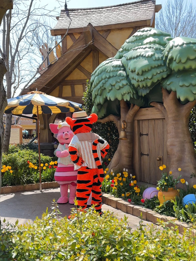 🐻🍯 ผจญภัยในโลกหมีพูห์ที่ Shanghai Disneyland! 🐻🍯 ผจญภัยในโลกหมีพูห์ที่ Shanghai Disneyland!