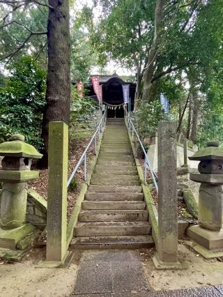 ⛩️ Serene Moments at Sakitama Shrine, Gyoda