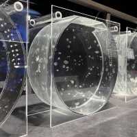 【北海道/札幌🇯🇵】都市の真ん中に現れた、夜まで楽しめるアート🐟 AOAO SAPPORO