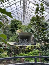 在美國🇺🇸最不美國的地方—-德州的城市綠洲🍃快點記錄下來！