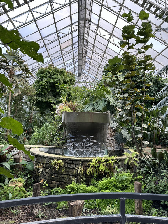 在美國🇺🇸最不美國的地方—-德州的城市綠洲🍃快點記錄下來！