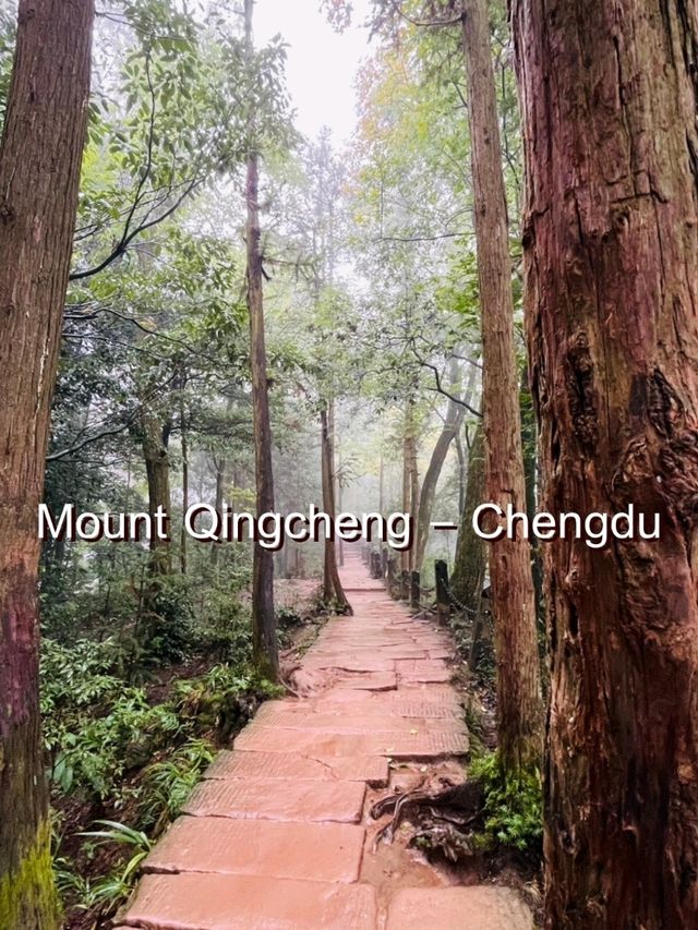 Mount Qingcheng @ Chengdu