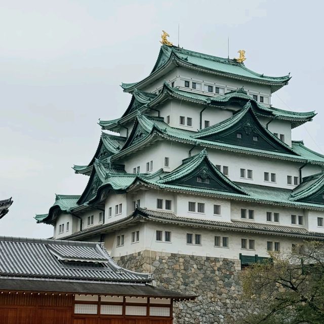 🌸 แพลนเที่ยว Nagoya + Kamikochi 4 วัน 🌸 แพลนเที่ยว Nagoya + Kamikochi 4 วัน