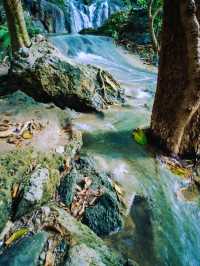 เที่ยวลพบุรี ครบทั้งธรรมชาติ ประวัติศาสตร์