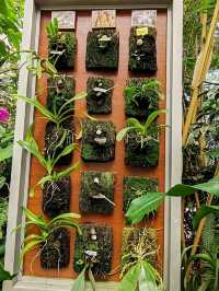 Orchid Forest Cikole: A Blend of Orchids and Cool Pine Woods