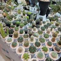 🌲The Garden เที่ยวชมธรรมชาติในเมืองกรุง