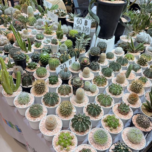 🌲The Garden เที่ยวชมธรรมชาติในเมืองกรุง