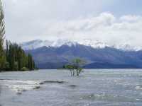 カレンダーで見たことある！？｜ワナカツリー🌲