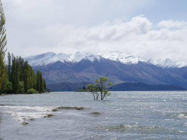 カレンダーで見たことある！？｜ワナカツリー🌲