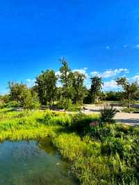 🌿 St. Patrick’s Island – Calgary’s Urban Nature Escape