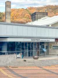 추운 날씨에 조용히 데이트 하기 좋은 청주 박물관✨