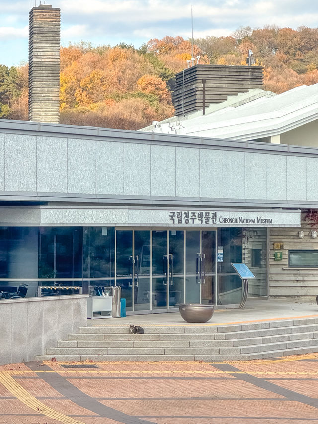 추운 날씨에 조용히 데이트 하기 좋은 청주 박물관✨
