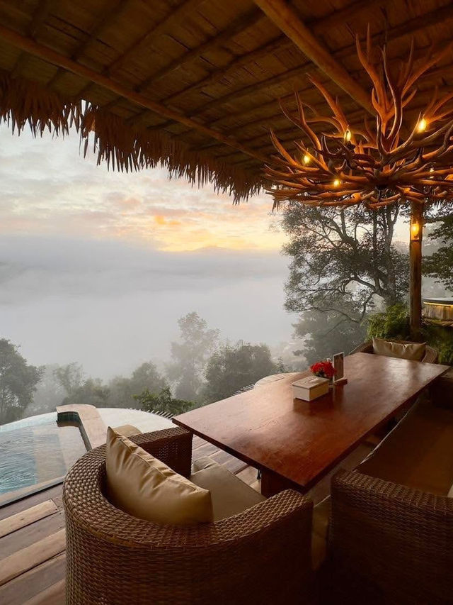 บ้านป่าหมอก