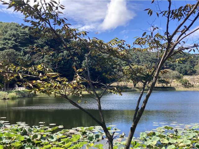 Sangdang Sanseong Fortress 상당산성 Sangdang Sanseong Fortress 상당산성