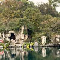 A Relaxing City Oasis — Five Dragon Pool Park