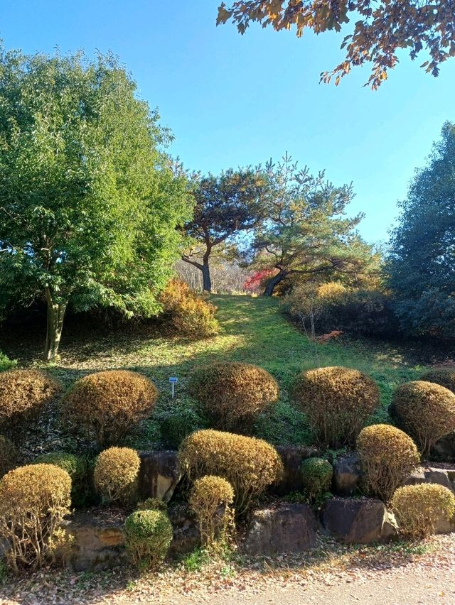 가을이면 특히 더 부드러운 분위기 가을이면 특히 더 부드러운 분위기