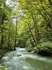 日本青森奧入瀨溪流