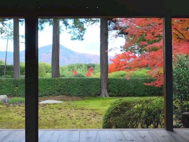 京都北山賞楓必去靜謐秘境🍁圓通寺充滿禪意的絶美畫捲 京都北山賞楓必去靜謐秘境🍁圓通寺充滿禪意的絶美畫捲