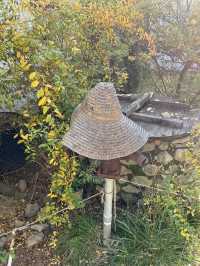 경주여행 이색사진 찍기