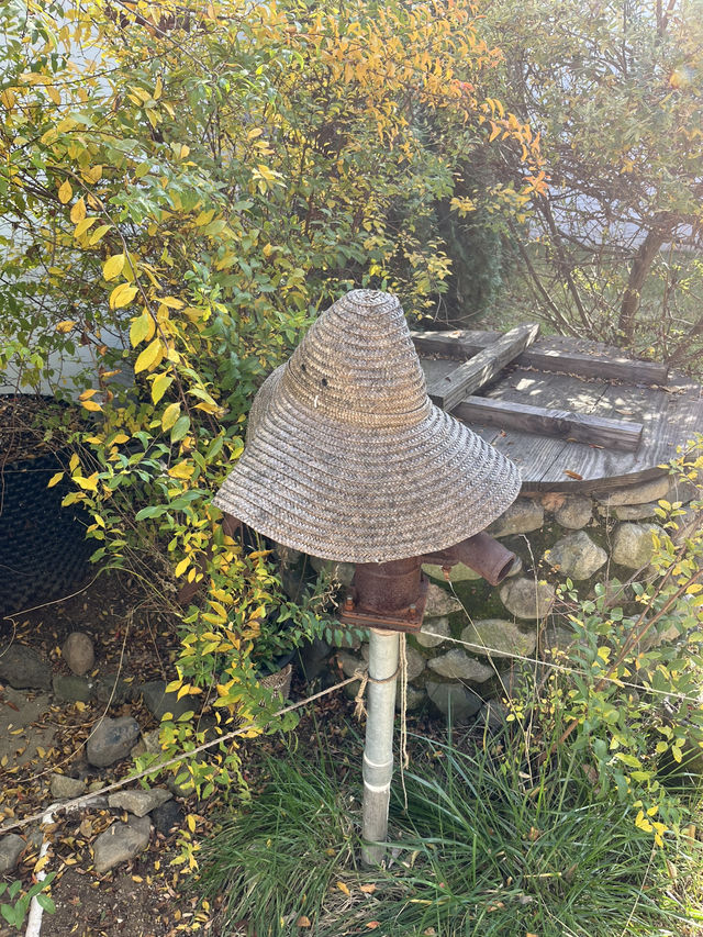 경주여행 이색사진 찍기