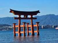 #원폭의 도시 히로시마에는 왜 사슴이 살까?