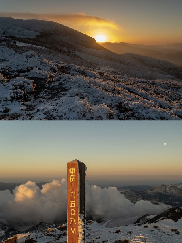 🏯❄️心も体も満たされる！最高の冬の熊本旅レポート！🥩♨️