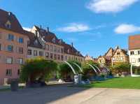 Alsatian Charm and Military History