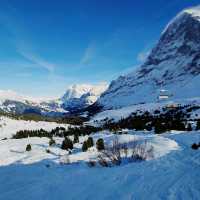 Scenic Ski Escape🗻