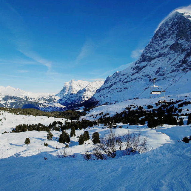 Scenic Ski Escape🗻 Scenic Ski Escape🗻