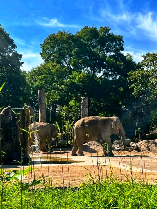 🦁 Zoological Gardens Karlsruhe – Nature, Wildlife & Relaxing City Escape